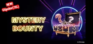 mystery bounty